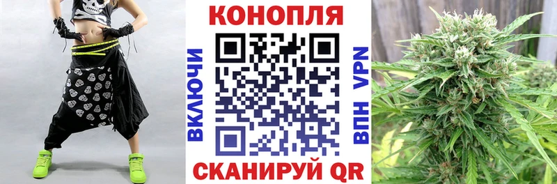 где можно купить   Нерехта  Бошки Шишки гибрид 